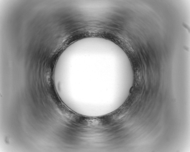 X0000093230698200710241236