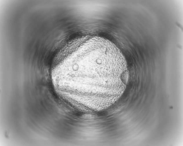 X0000093230699200710241236