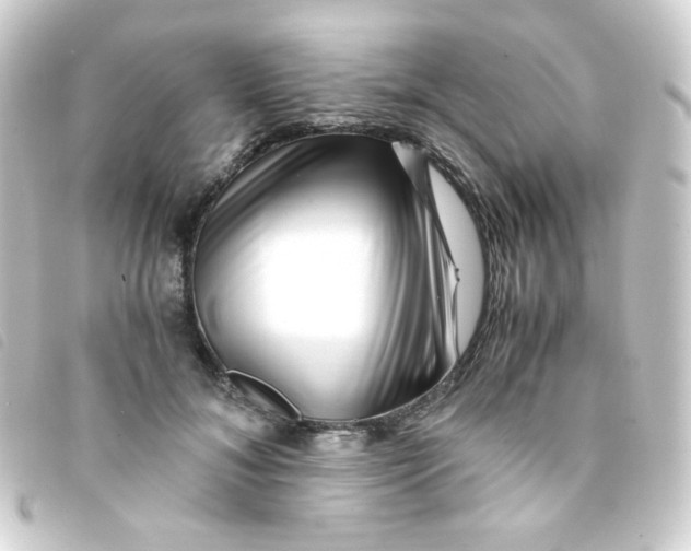 X0000093230700200710241236