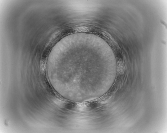 X0000093230701200710241236