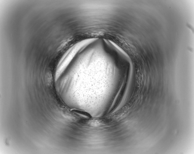 X0000093230704200710241236