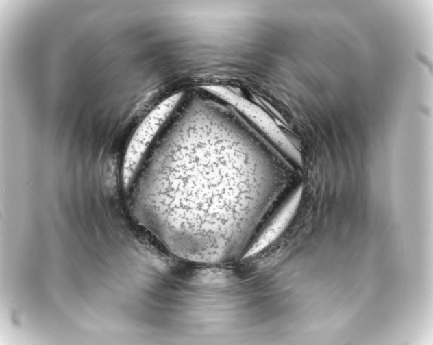 X0000093230708200710241236