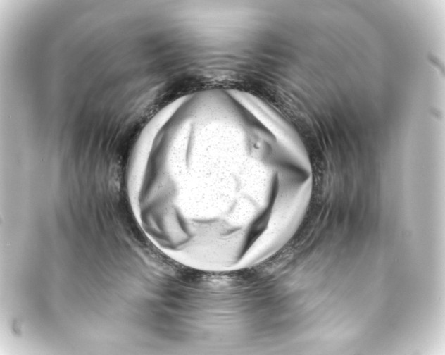 X0000093230710200710241236