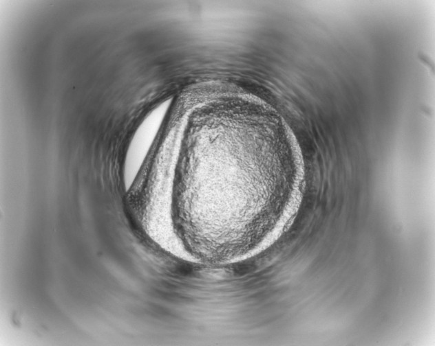 X0000093230711200710241236