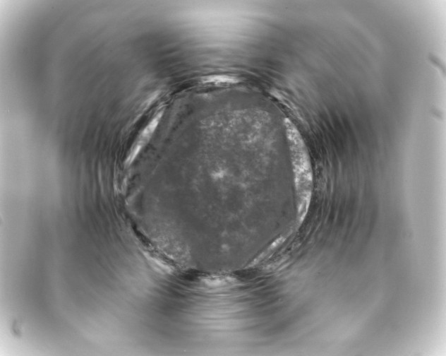 X0000093230712200710241236