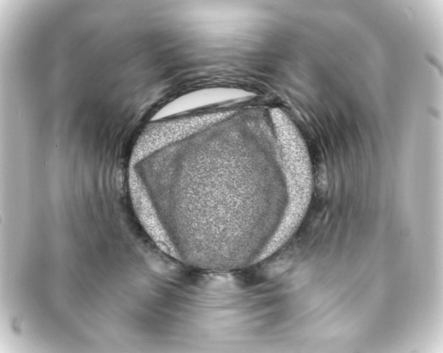 X0000093230715200710241236