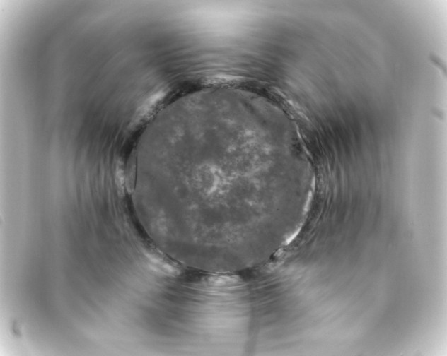 X0000093230716200710241236