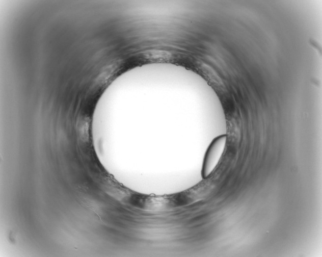 X0000093230717200710241236