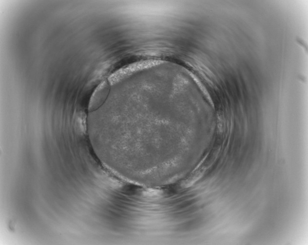 X0000093230718200710241236