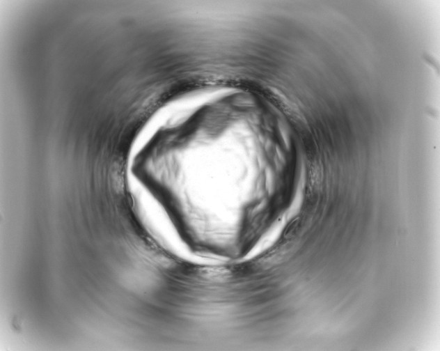 X0000093230719200710241236