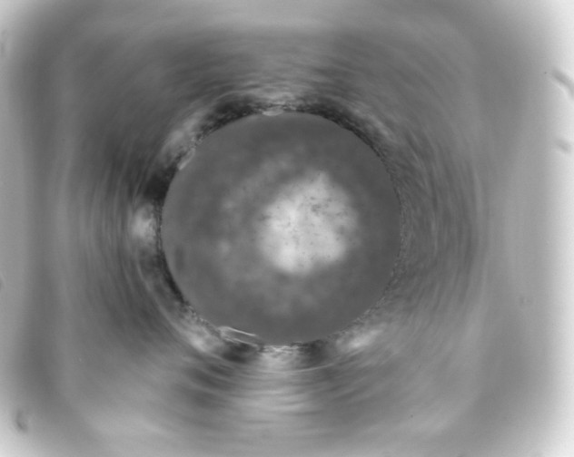 X0000093230720200710241236