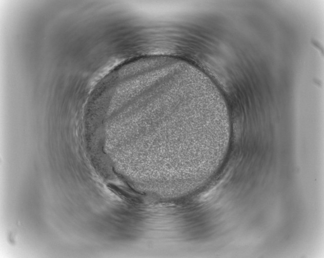 X0000093230721200710241235