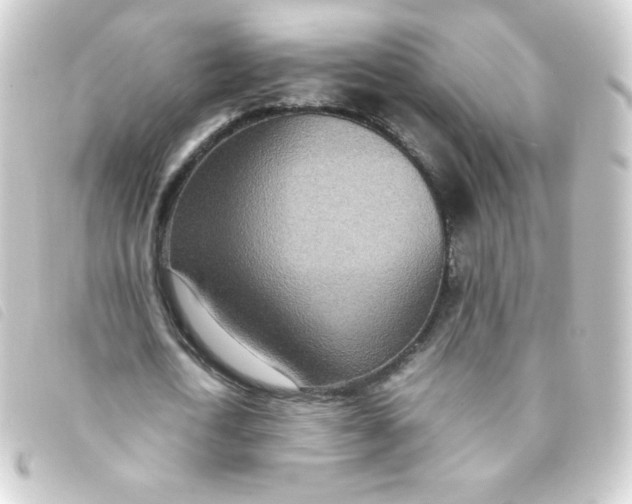 X0000093230722200710241235