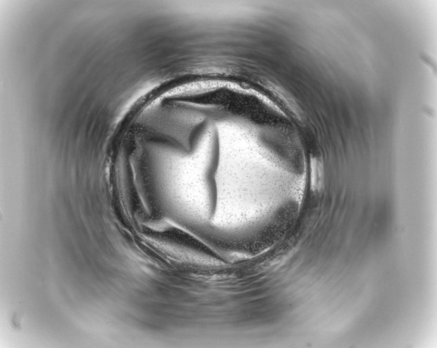 X0000093230723200710241235