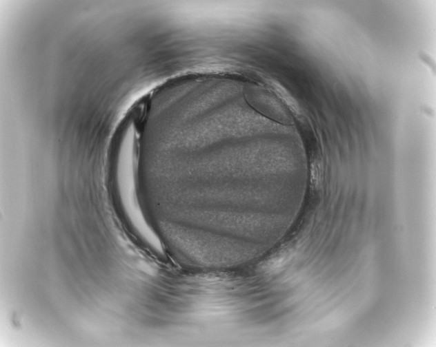 X0000093230724200710241235