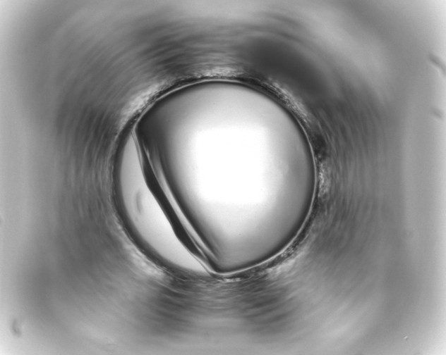 X0000093230725200710241235