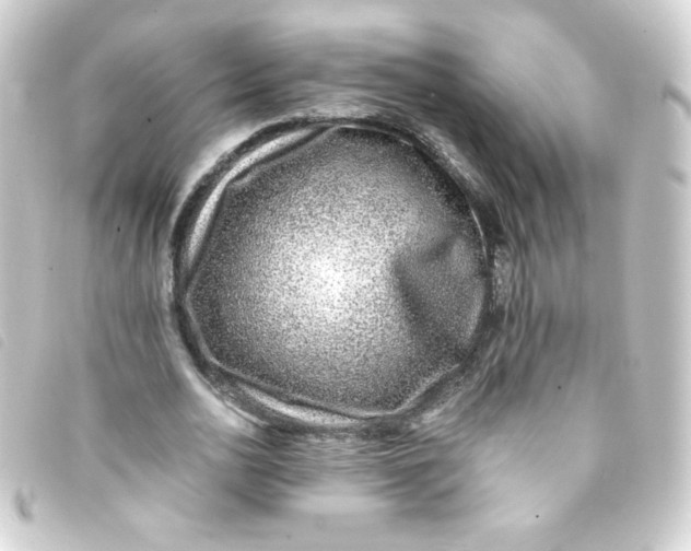 X0000093230726200710241235