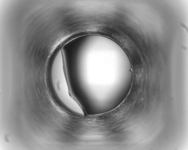 X0000093230728200710241235