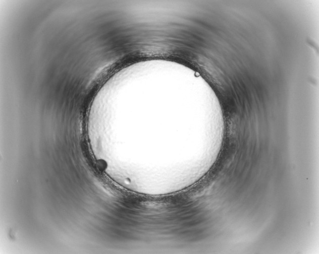 X0000093230733200710241235