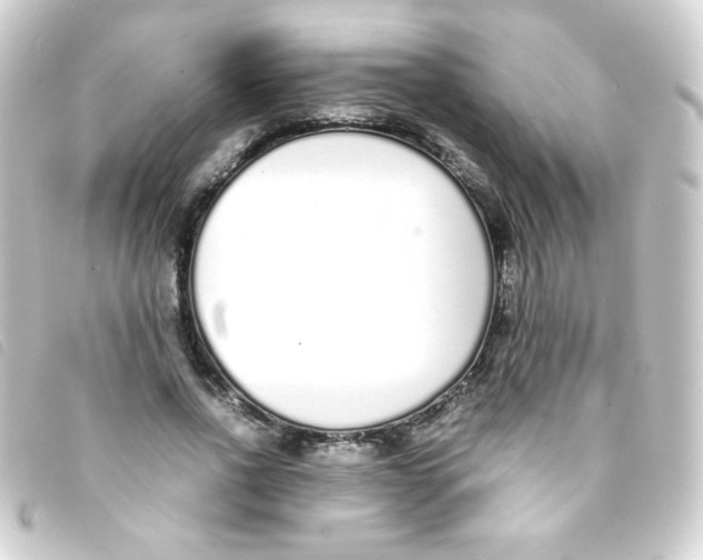 X0000093230734200710241235