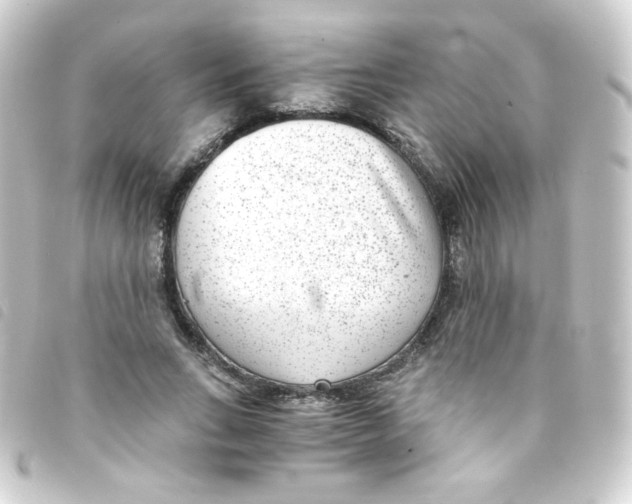 X0000093230735200710241235