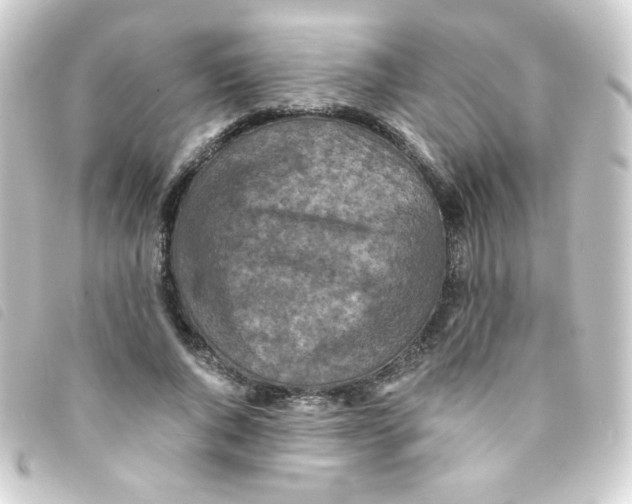 X0000093230736200710241235