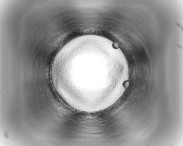 X0000093230737200710241235