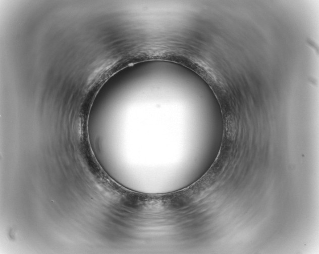 X0000093230740200710241235