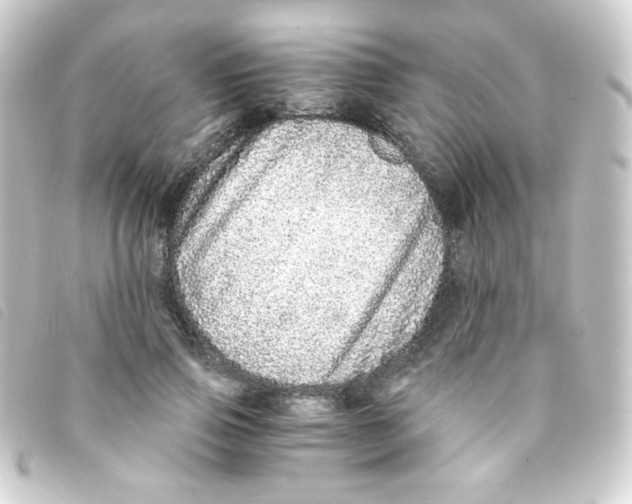 X0000093230741200710241235