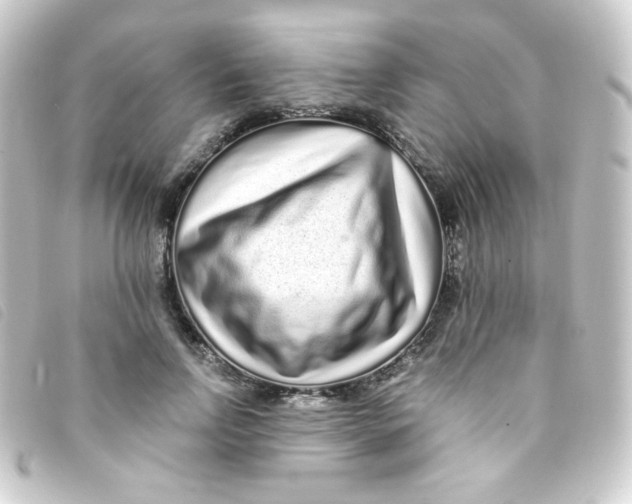 X0000093230742200710241235