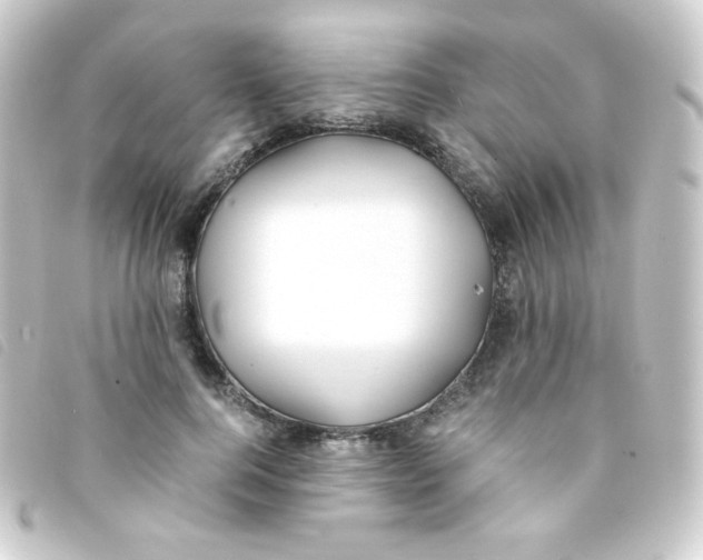 X0000093230744200710241235