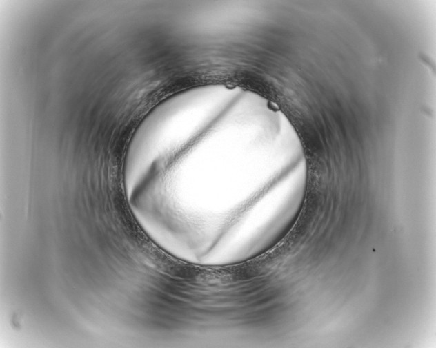 X0000093230745200710241235