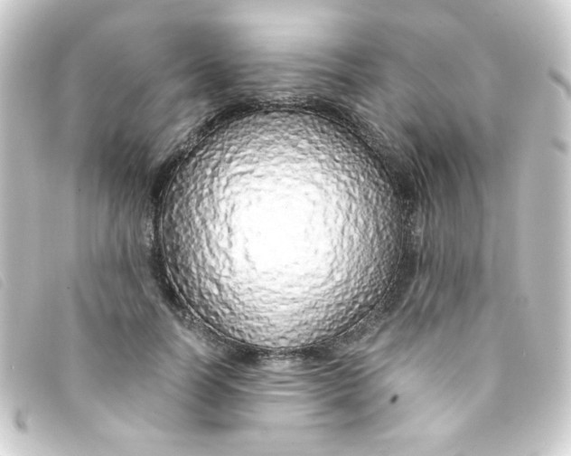 X0000093230746200710241235