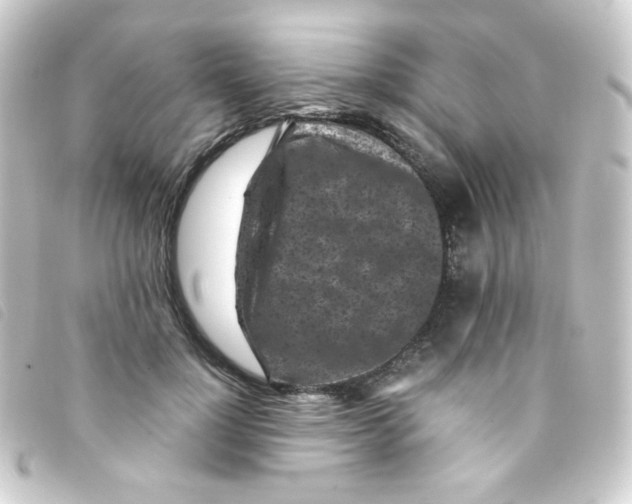 X0000093230748200710241235