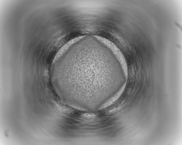 X0000093230749200710241235