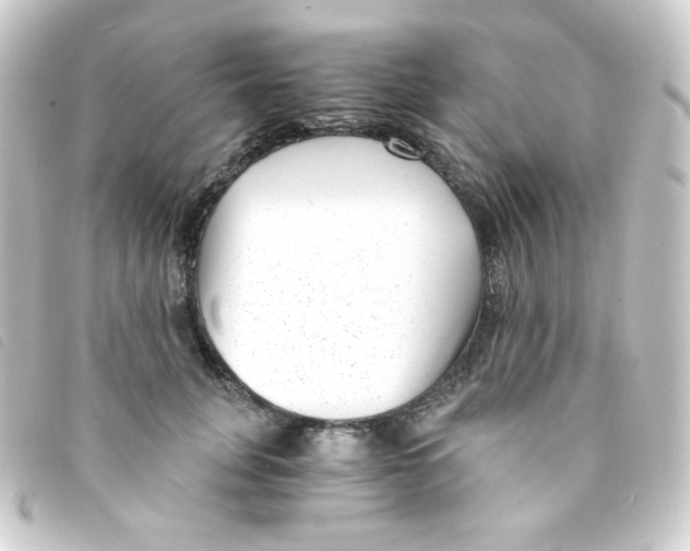 X0000093230751200710241236