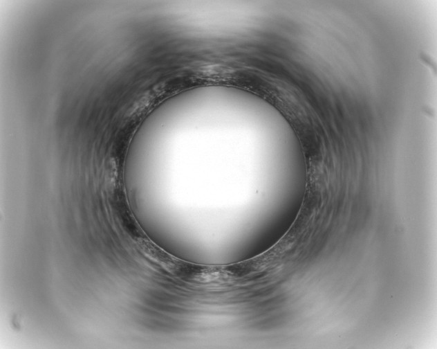 X0000093230752200710241236