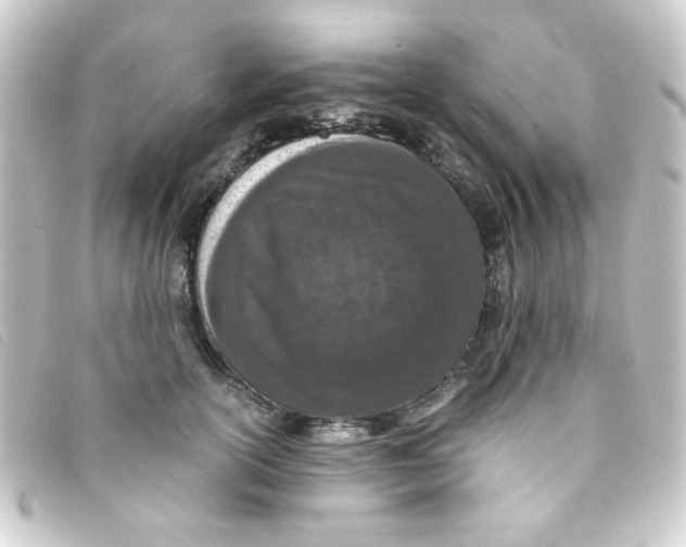 X0000093230754200710241236