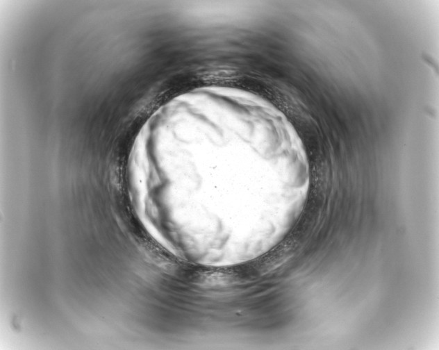 X0000093230755200710241236