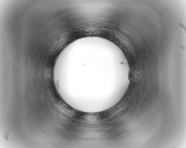 X0000093230756200710241236