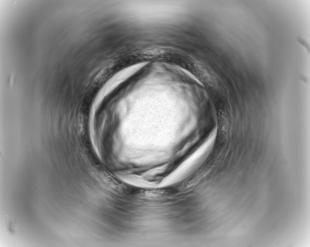 X0000093230758200710241236