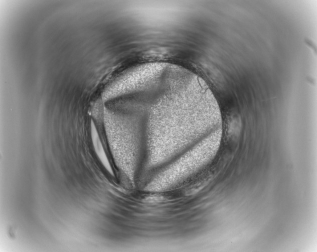 X0000093230759200710241236