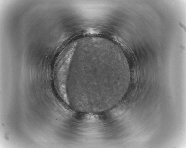 X0000093230760200710241236