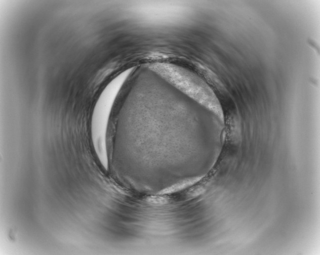 X0000093230762200710241236