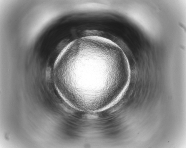 X0000093230765200710241236