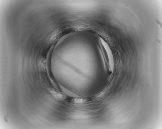 X0000093230766200710241236