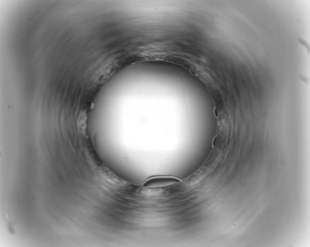 X0000093230767200710241236