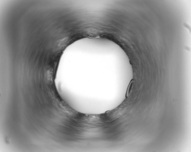 X0000093230768200710241236