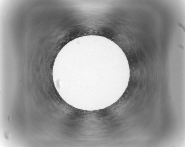 X0000093230769200710241235