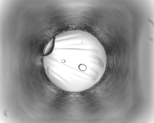 X0000093230770200710241235